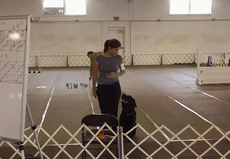 Screenshot of the Mason's Obedience Trial video that captures a trainer looking down on a black lab she's working with