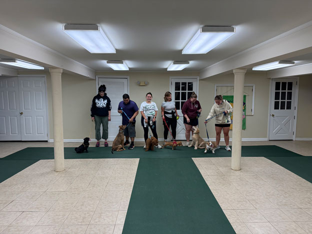 Proud dog owners with their pets at a training class graduation ceremony