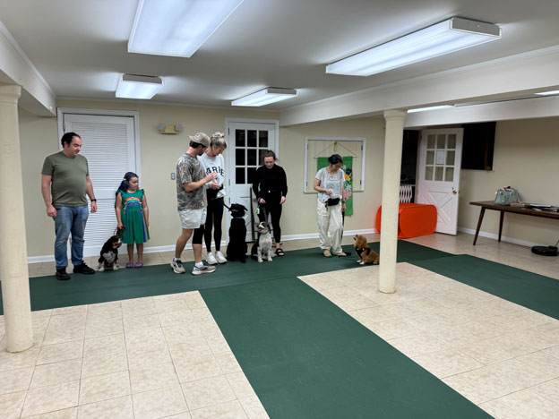 Proud dog owners with their pets at a training class graduation ceremony