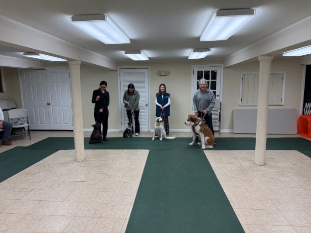Proud dog owners with their pets at a training class graduation ceremony