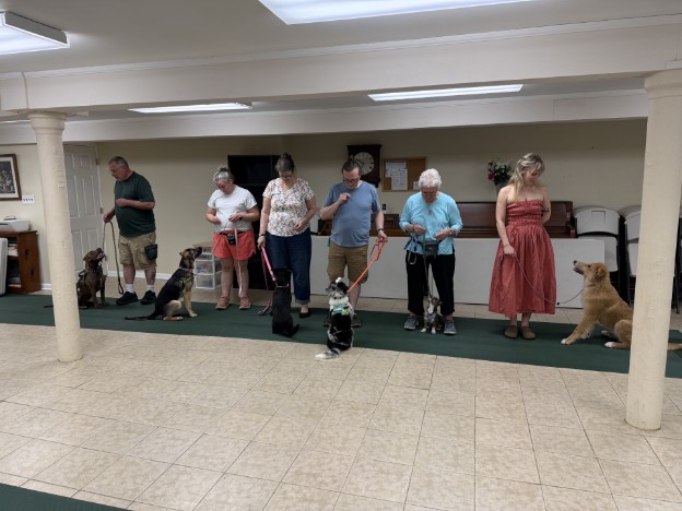 Proud dog owners with their pets at a training class graduation ceremony