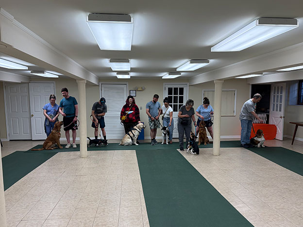 Proud dog owners with their pets at a training class graduation ceremony