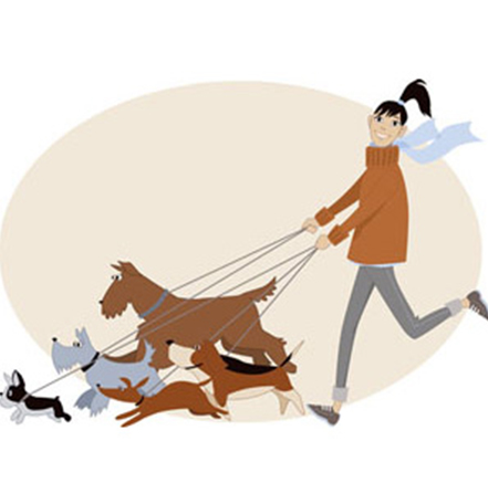 Dog trainer walking multiple dogs on leashes
