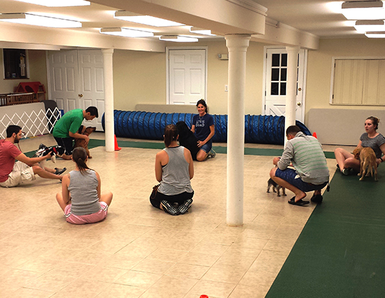 Group of pet owners sitting on the floor with their dogs, listening to the trainer's instructions